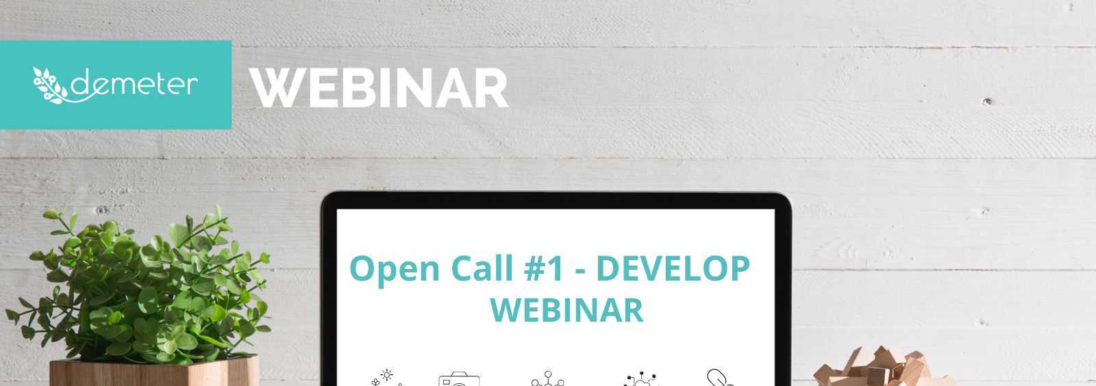 DEMETER Open Call webinář