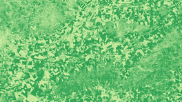 EVI_Y7a4qa5.2e16d0ba.fill-800x450.format-webp