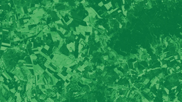 NDVI_zEepBGT.2e16d0ba.fill-800x450.format-webp