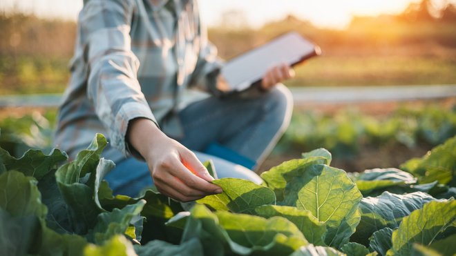 smart-agriculture-legislation_small.original